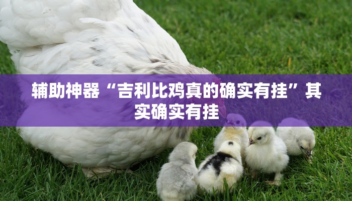 教程开挂辅助“微乐家乡麻将万能开挂器”开挂(透视)辅助教程