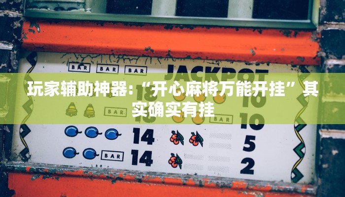 辅助神器“闽南新亲友有没有挂可以开挂吗”其实确实有挂