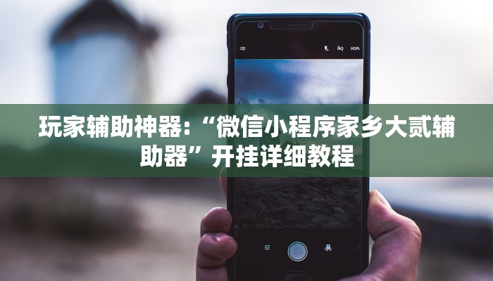 玩家辅助神器:“德扑之星透视辅助”其实确实有挂