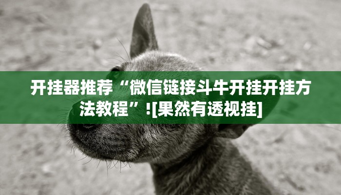 实测辅助”阿拉斗牌可以开挂吗”(详细开挂教程)