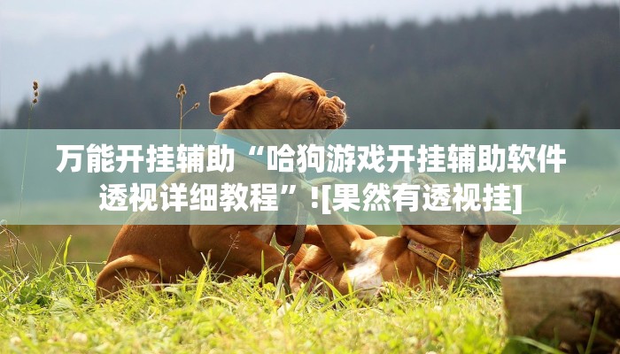 辅助神器“微乐陕西三代透视”其实确实有挂