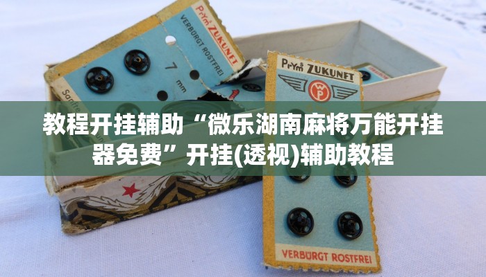 玩家辅助神器:“友友邳州麻将是怎么开挂的”其实确实有挂