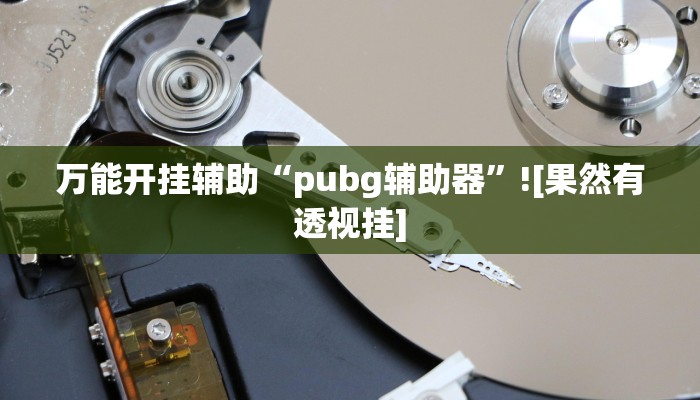 实测辅助”蚌埠玩可以开挂吗”(详细开挂教程)