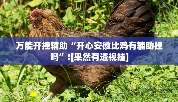 教程辅助“微乐江苏麻将开挂神器”开挂详细教程