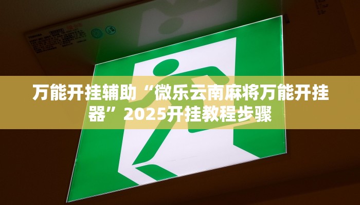 教程辅助“随意玩拼三张透视视频”其实确实有挂