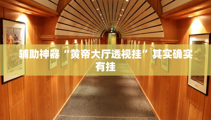 辅助神器“哥哥打大A有挂吗果然有挂”开挂详细教程