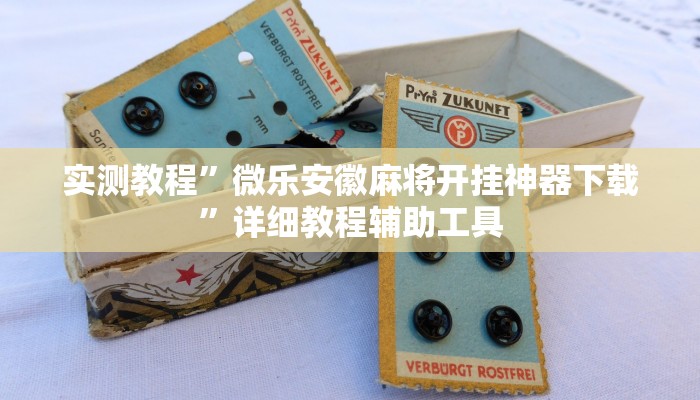 玩家辅助神器:广西佬游玩十三张辅助器”其实确实有挂