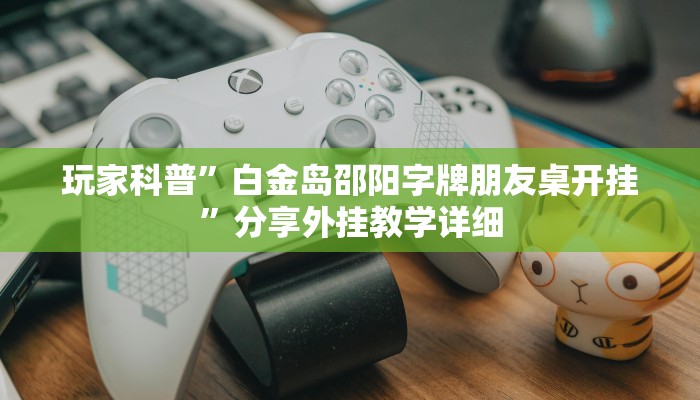 玩家辅助神器:黑鹰众玩真的确实有挂”(详细开挂教程)