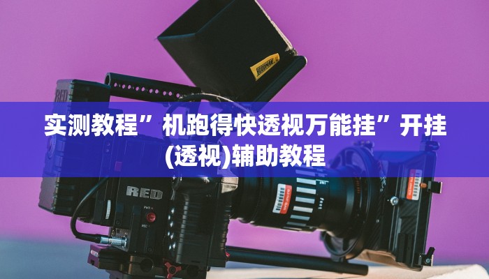 玩家辅助神器:“牵手跑得快怎么开挂”其实确实有挂