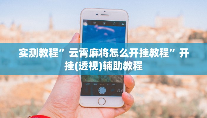 辅助神器“闲逸碰胡开挂神器”其实确实有挂