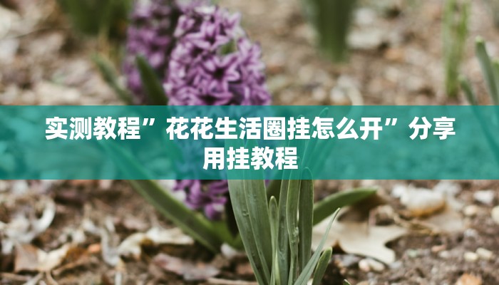 实测辅助”悟空大厅拼三张透视挂”(详细开挂教程)