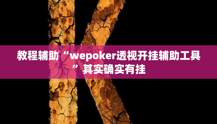 辅助神器“wepoker作弊挂方法”开挂详细教程