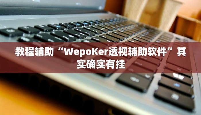 必备科技“hhpoker透视挂”真实开挂技巧分享