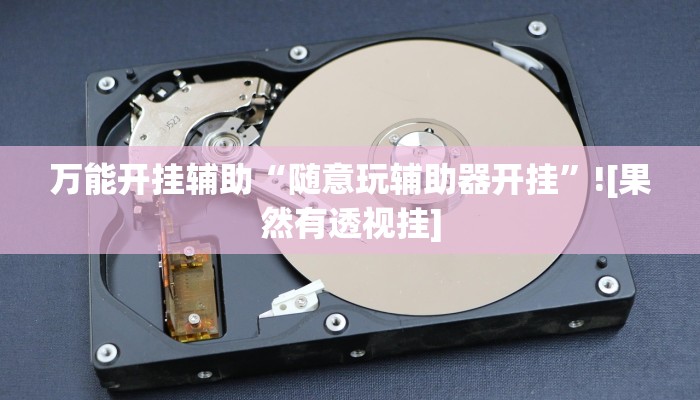 玩家辅助神器:“白金岛十胡卡能装透视挂吗”开挂详细教程