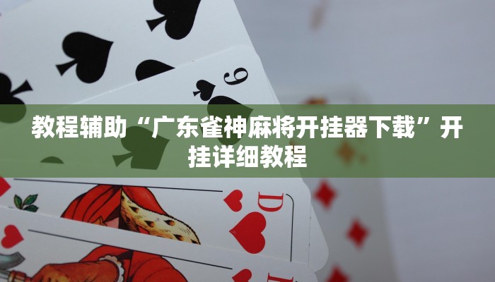 实测辅助”铨珉麻将开挂神器”(详细开挂教程)