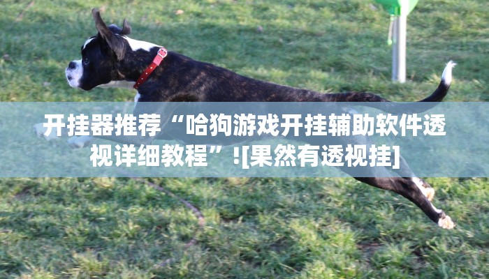 教程开挂辅助“微乐跑得快开挂神器下载”分享用挂教程