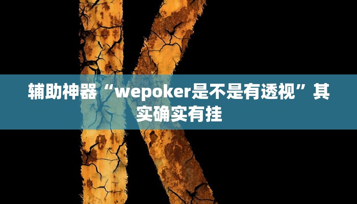 辅助神器“wepoker是不是有透视”其实确实有挂