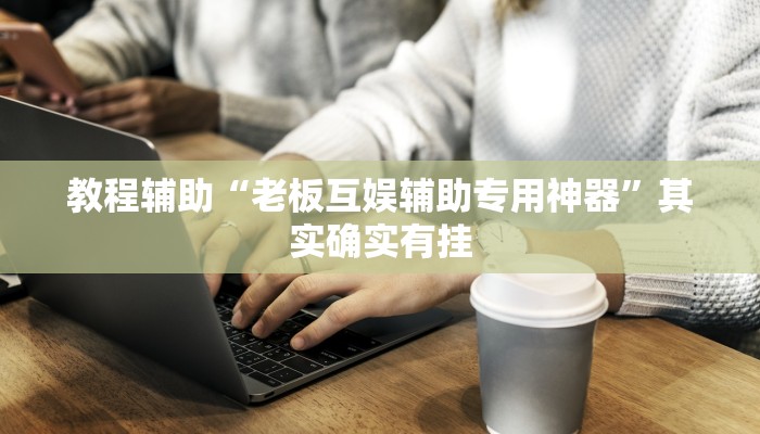 教程辅助“老板互娱辅助专用神器”其实确实有挂