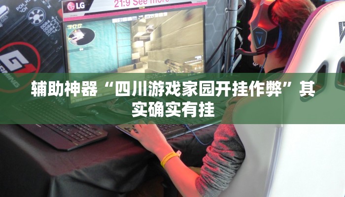 辅助神器“四川游戏家园开挂作弊”其实确实有挂