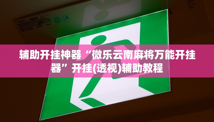 辅助开挂神器“微乐云南麻将万能开挂器”开挂(透视)辅助教程