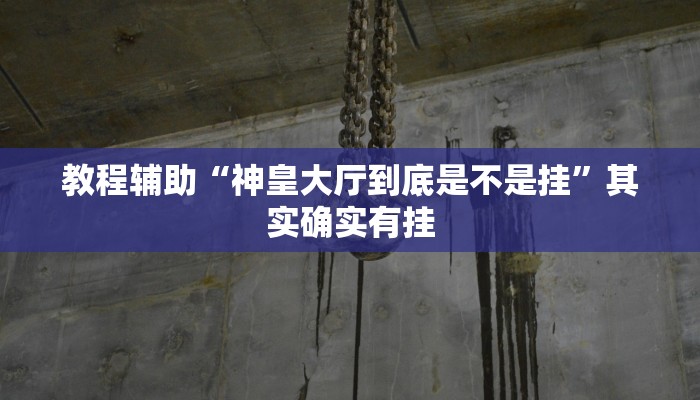 教程辅助“神皇大厅到底是不是挂”其实确实有挂