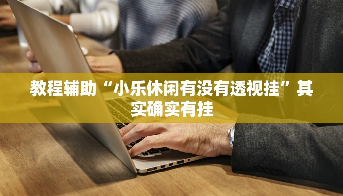 教程辅助“小乐休闲有没有透视挂”其实确实有挂