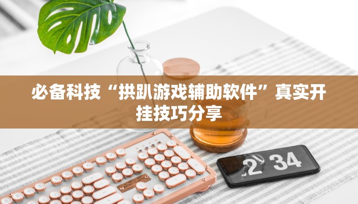 辅助神器“皮皮跑得快怎么开挂”其实确实有挂