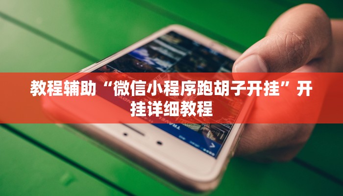 教程辅助“微信小程序跑胡子开挂”开挂详细教程