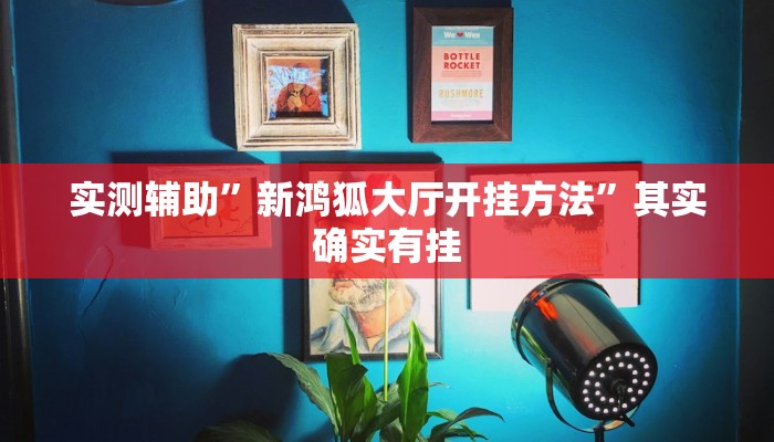 实测辅助”新鸿狐大厅开挂方法”其实确实有挂