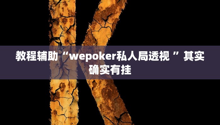 教程辅助“wepoker私人局透视 ”其实确实有挂