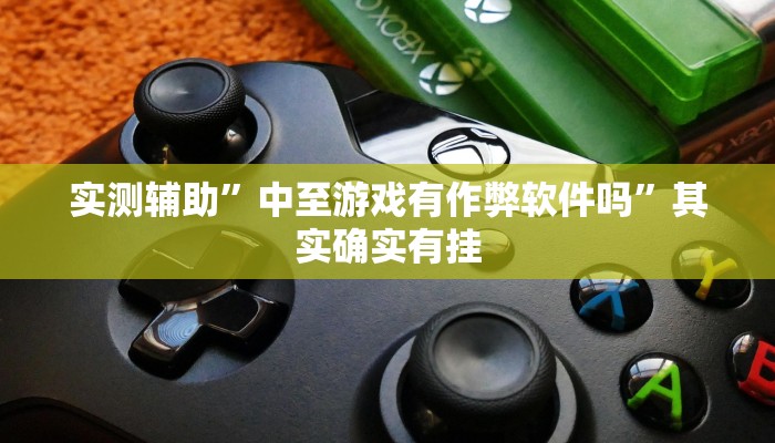 实测辅助”中至游戏有作弊软件吗”其实确实有挂