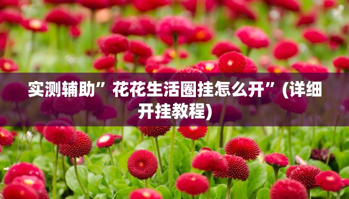 实测辅助”花花生活圈挂怎么开”(详细开挂教程)