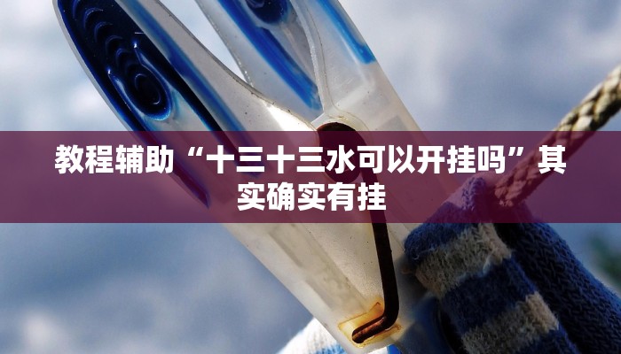 教程辅助“十三十三水可以开挂吗”其实确实有挂