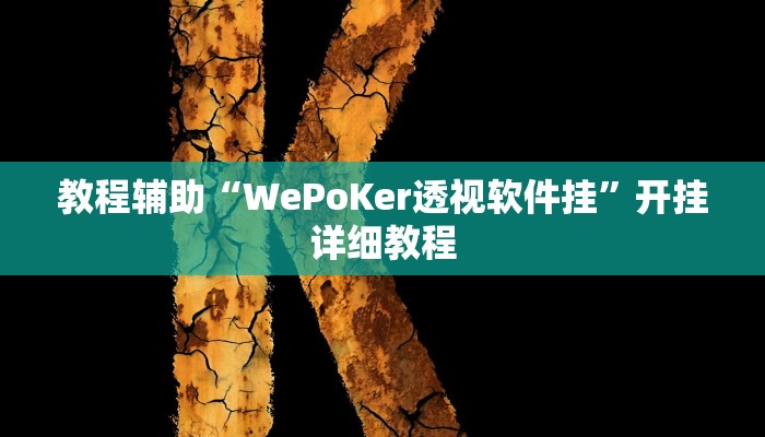 教程辅助“WePoKer透视软件挂”开挂详细教程
