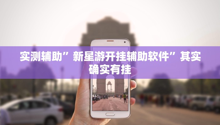 实测辅助”新星游开挂辅助软件”其实确实有挂