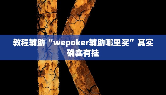 教程辅助“wepoker辅助哪里买”其实确实有挂