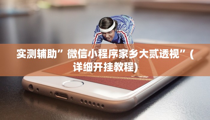 实测辅助”微信小程序家乡大贰透视”(详细开挂教程)