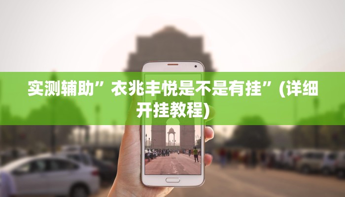 实测辅助”衣兆丰悦是不是有挂”(详细开挂教程)