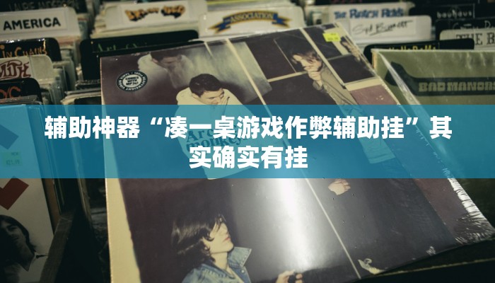 辅助神器“凑一桌游戏作弊辅助挂”其实确实有挂