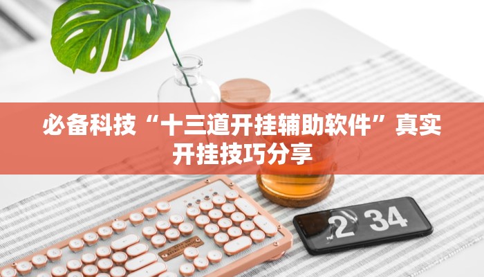 必备科技“十三道开挂辅助软件”真实开挂技巧分享