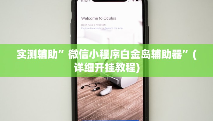 实测辅助”微信小程序白金岛辅助器”(详细开挂教程)