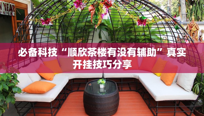 必备科技“顺欣茶楼有没有辅助”真实开挂技巧分享