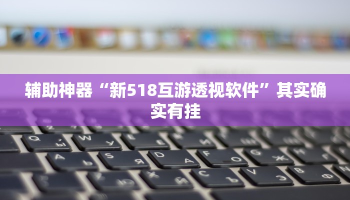 辅助神器“新518互游透视软件”其实确实有挂