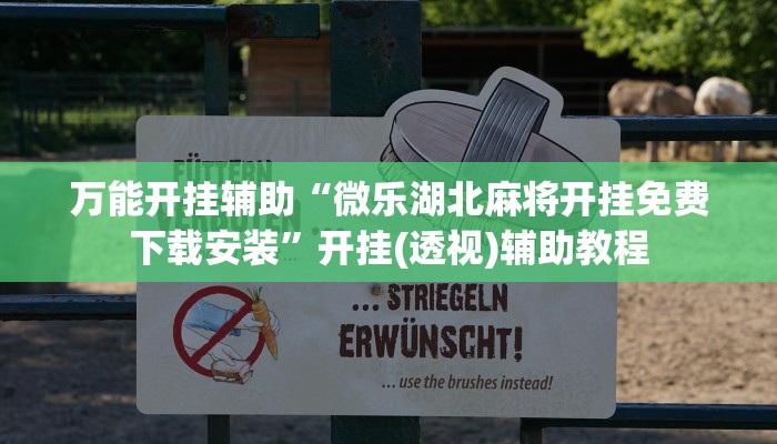 万能开挂辅助“微乐湖北麻将开挂免费下载安装”开挂(透视)辅助教程