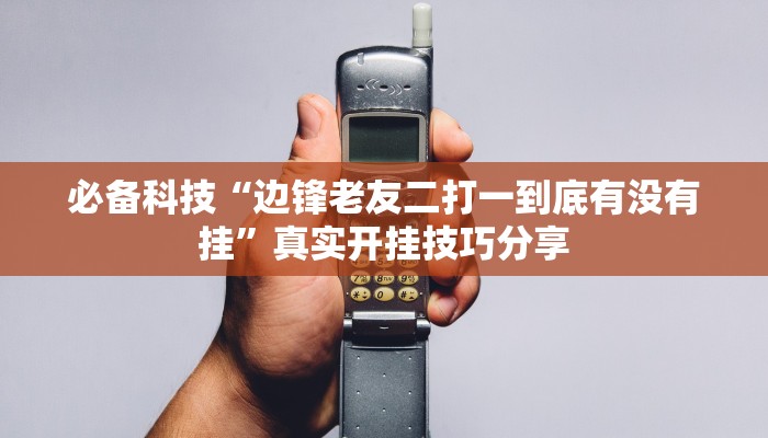 必备科技“边锋老友二打一到底有没有挂”真实开挂技巧分享