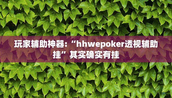 玩家辅助神器:“hhwepoker透视辅助挂”其实确实有挂