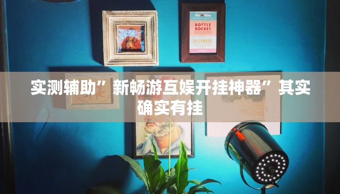 实测辅助”新畅游互娱开挂神器”其实确实有挂