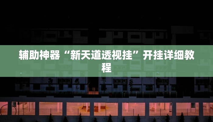 辅助神器“新天道透视挂”开挂详细教程