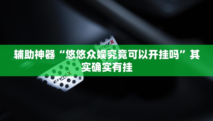 辅助神器“悠悠众娱究竟可以开挂吗”其实确实有挂