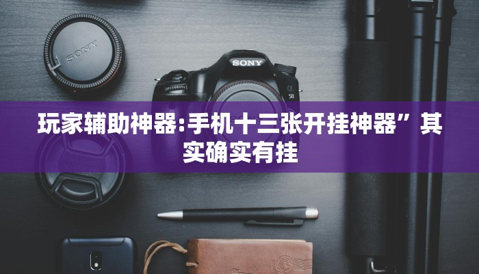玩家辅助神器:手机十三张开挂神器”其实确实有挂
